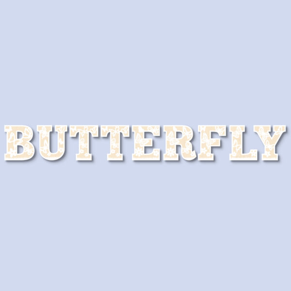 butterfly wooden letters